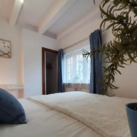 公寓 Apartament Motlava IV *